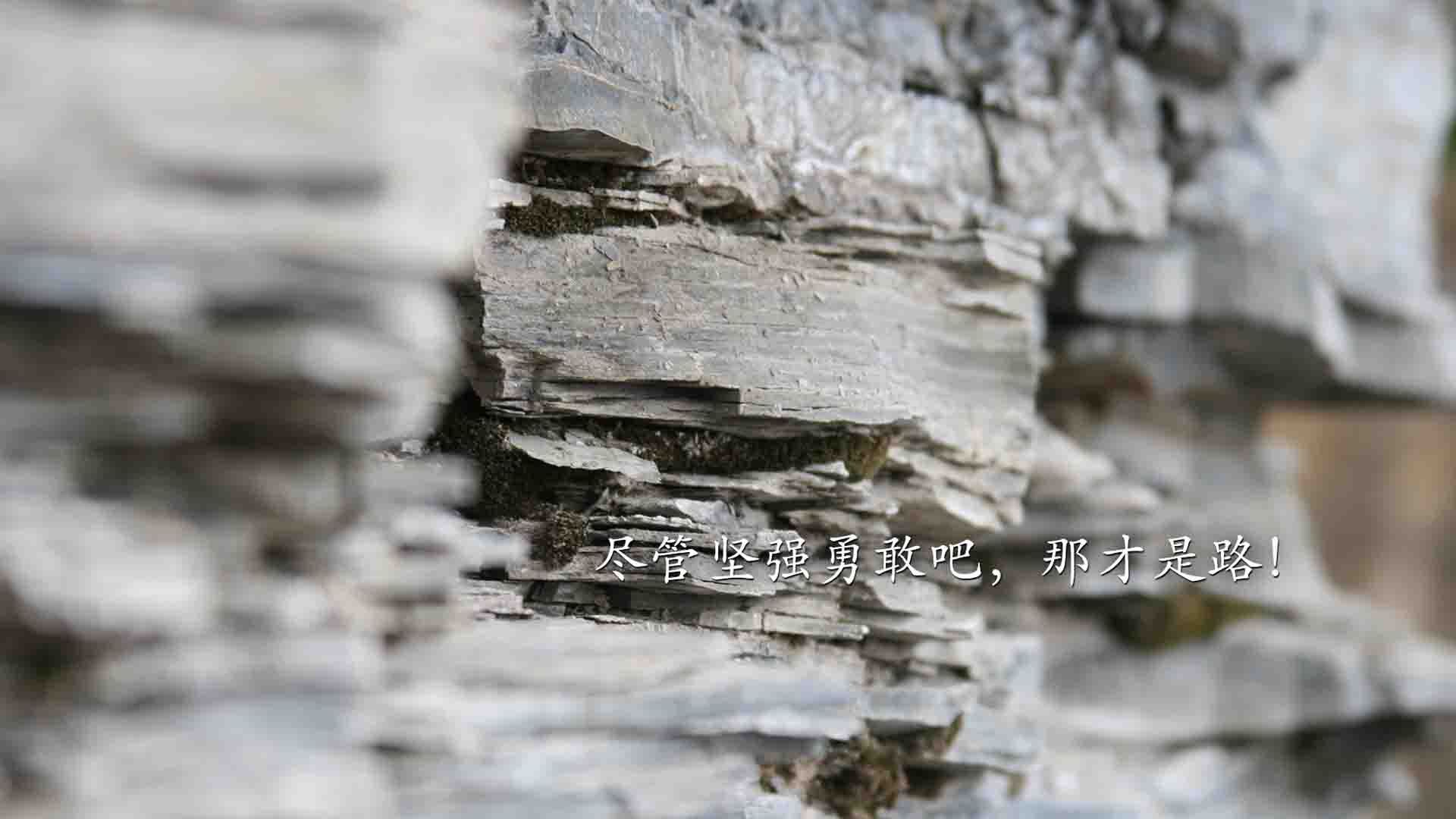 中国队冲击世界杯预选赛 精彩表现备受称赞，中国队世界杯预选赛2022