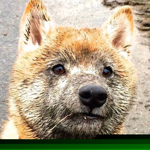 体育场馆智能化管理案例,体育场馆智慧化