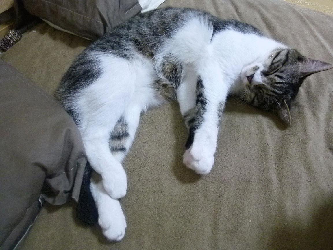 kaiyun体育综合-公牛主场训练首次对媒体开放球迷反响热烈，公牛队的主场在哪